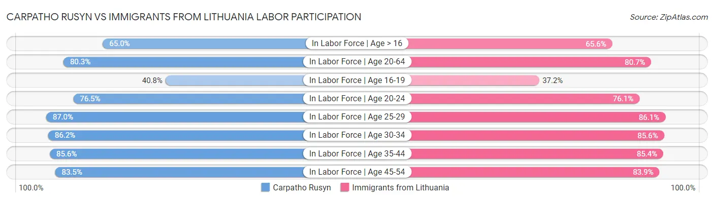 Carpatho Rusyn vs Immigrants from Lithuania Labor Participation