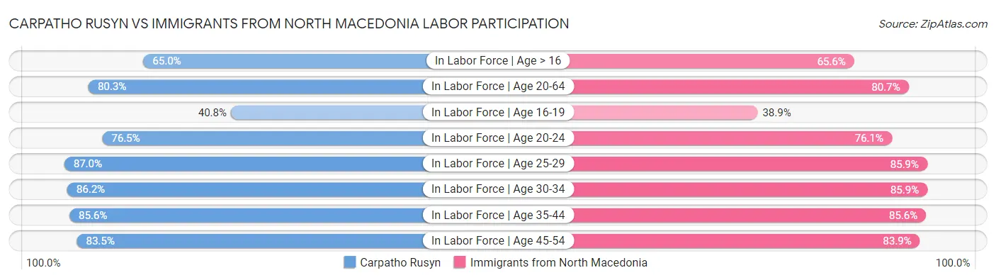 Carpatho Rusyn vs Immigrants from North Macedonia Labor Participation
