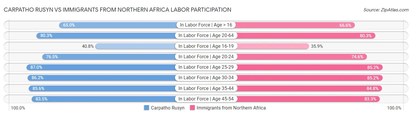 Carpatho Rusyn vs Immigrants from Northern Africa Labor Participation
