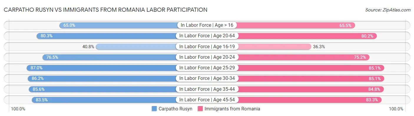 Carpatho Rusyn vs Immigrants from Romania Labor Participation