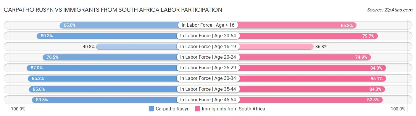 Carpatho Rusyn vs Immigrants from South Africa Labor Participation
