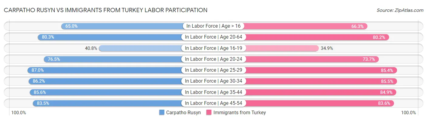 Carpatho Rusyn vs Immigrants from Turkey Labor Participation