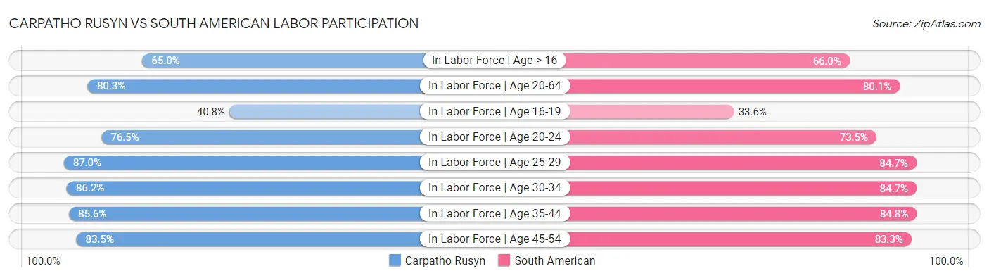 Carpatho Rusyn vs South American Labor Participation