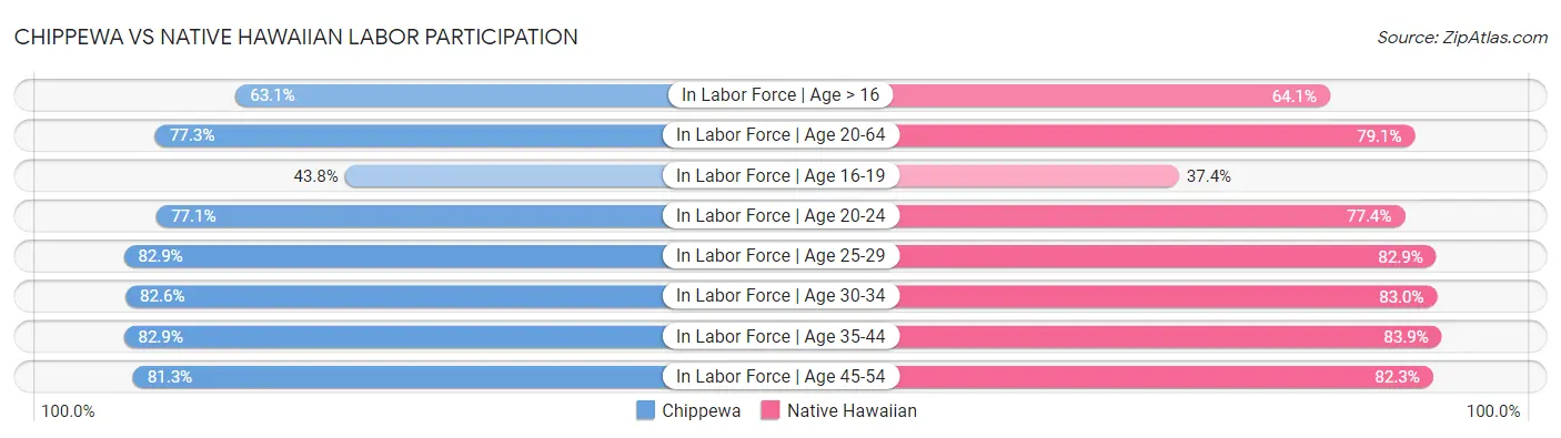 Chippewa vs Native Hawaiian Labor Participation