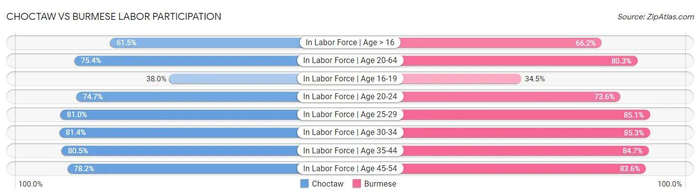 Choctaw vs Burmese Labor Participation