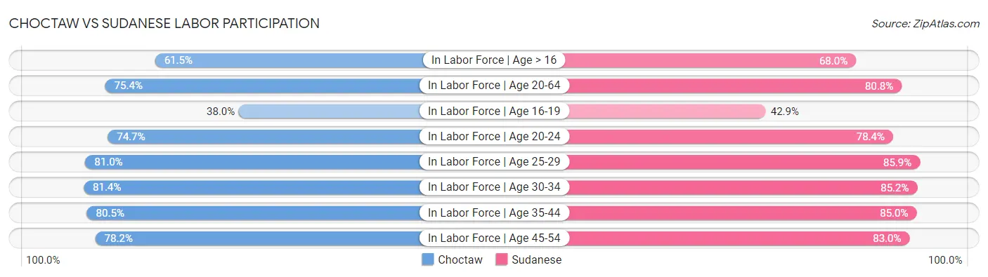 Choctaw vs Sudanese Labor Participation