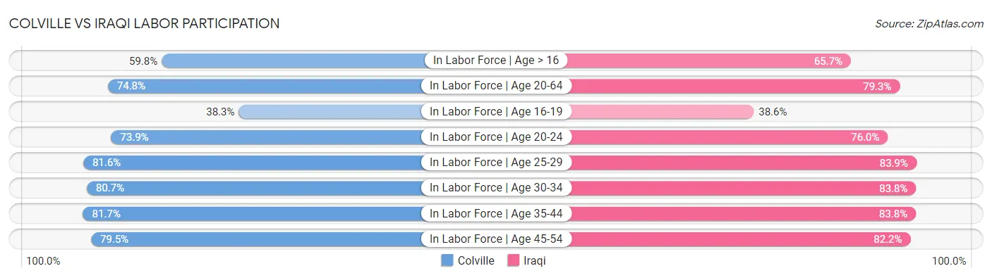 Colville vs Iraqi Labor Participation