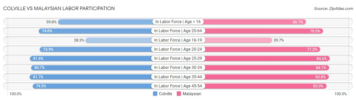 Colville vs Malaysian Labor Participation