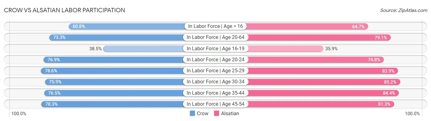 Crow vs Alsatian Labor Participation