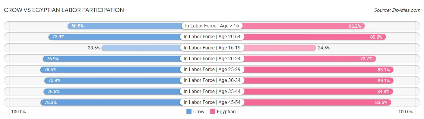 Crow vs Egyptian Labor Participation