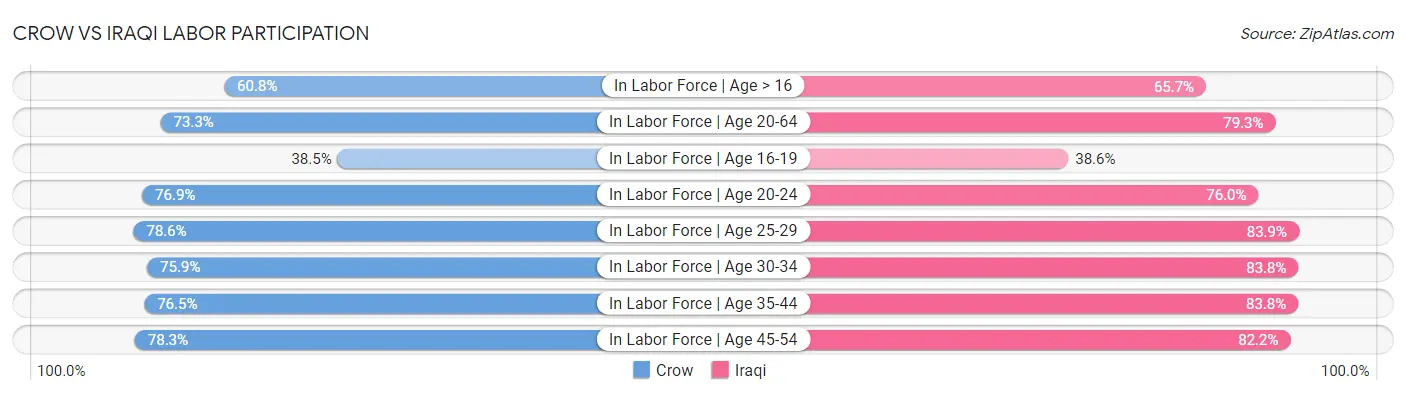 Crow vs Iraqi Labor Participation