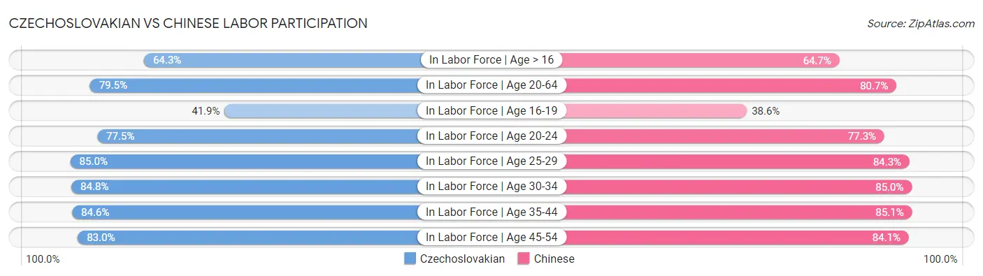 Czechoslovakian vs Chinese Labor Participation