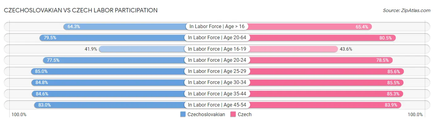 Czechoslovakian vs Czech Labor Participation