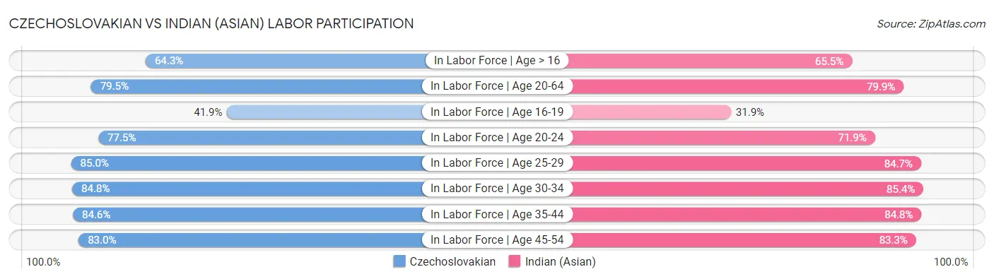 Czechoslovakian vs Indian (Asian) Labor Participation