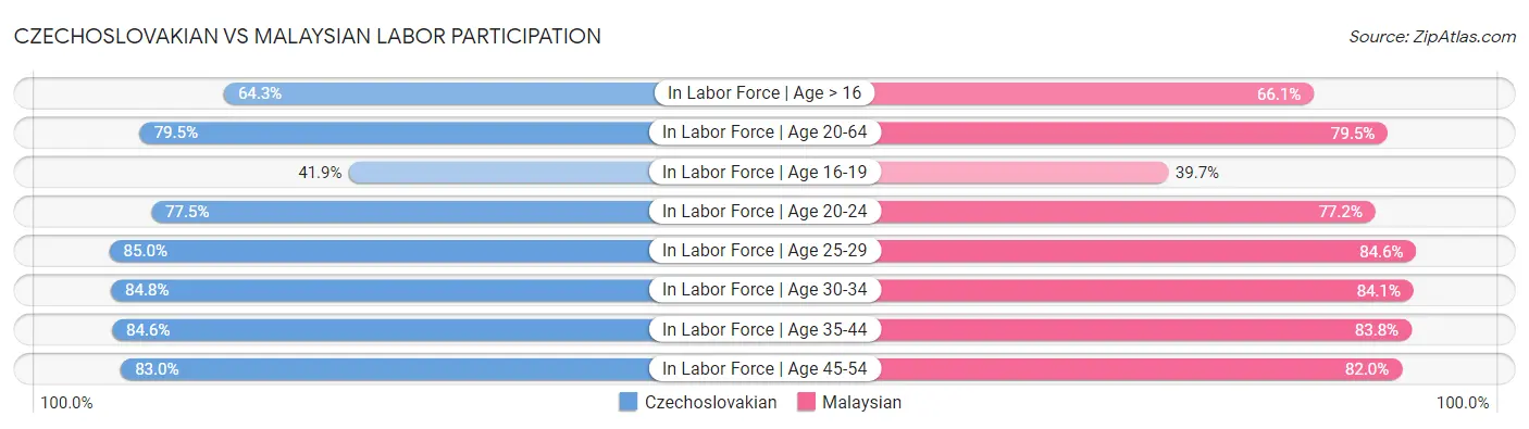 Czechoslovakian vs Malaysian Labor Participation