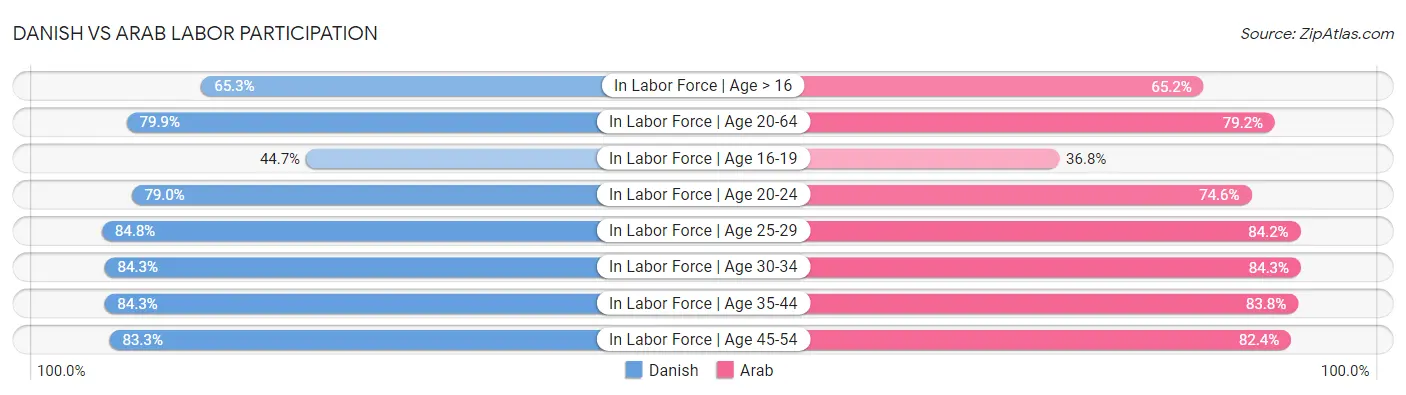 Danish vs Arab Labor Participation