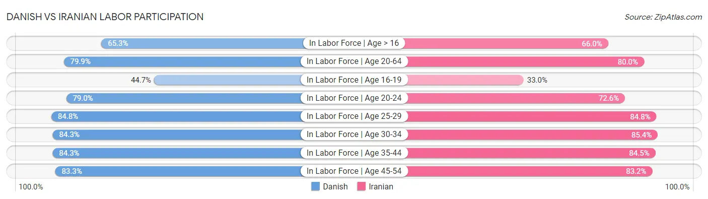 Danish vs Iranian Labor Participation