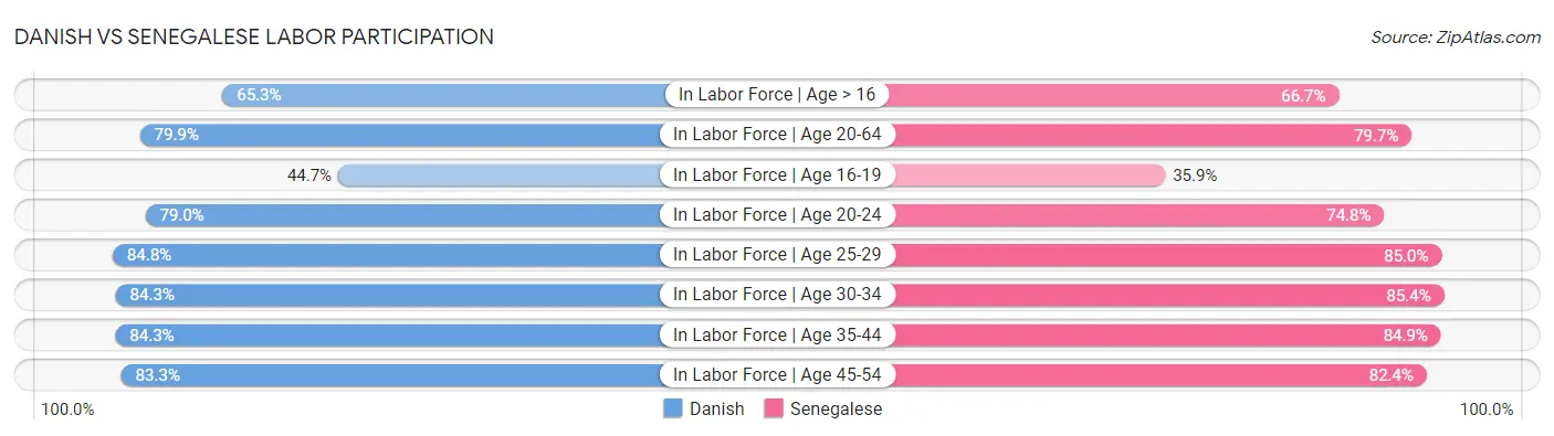 Danish vs Senegalese Labor Participation