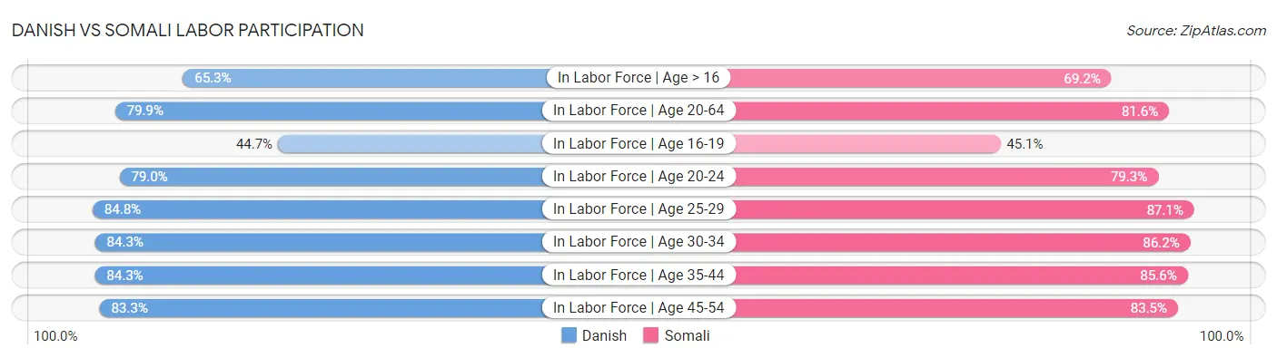 Danish vs Somali Labor Participation
