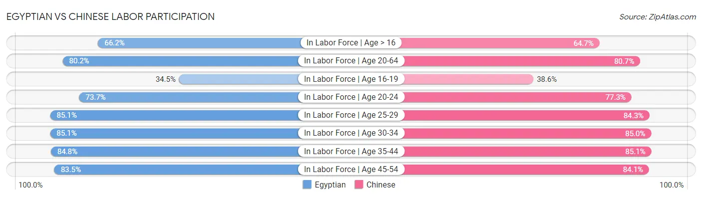 Egyptian vs Chinese Labor Participation