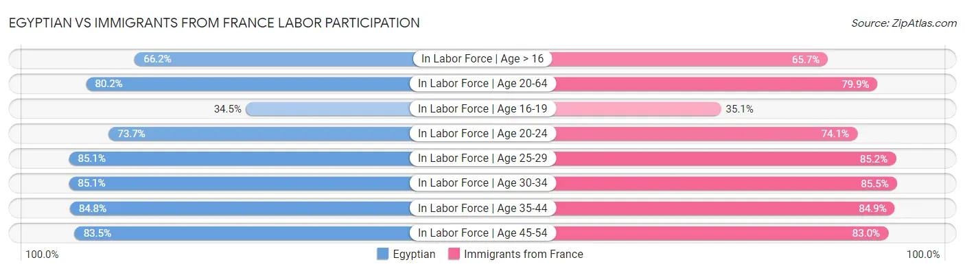 Egyptian vs Immigrants from France Labor Participation