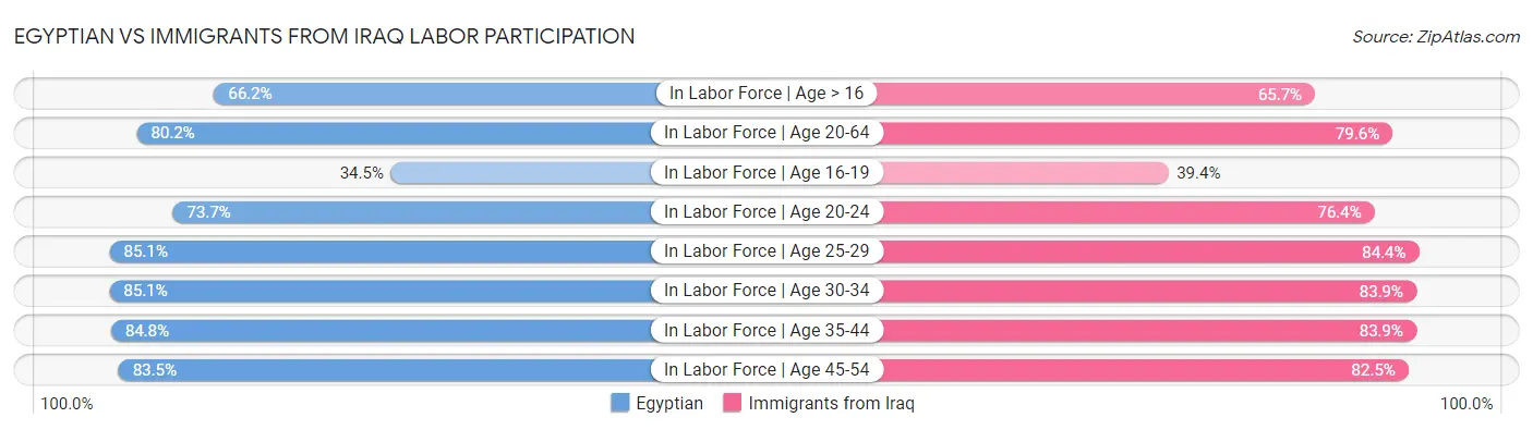 Egyptian vs Immigrants from Iraq Labor Participation