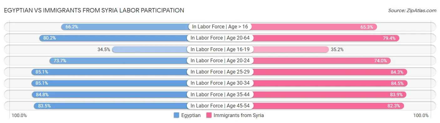 Egyptian vs Immigrants from Syria Labor Participation