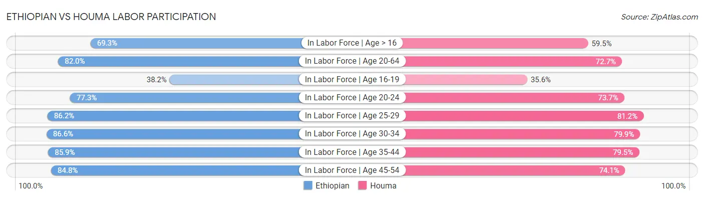 Ethiopian vs Houma Labor Participation