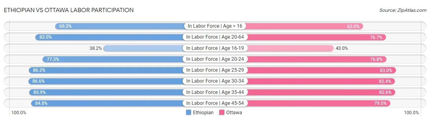 Ethiopian vs Ottawa Labor Participation