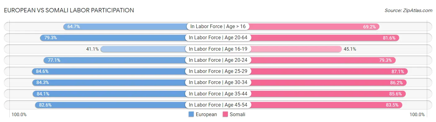European vs Somali Labor Participation