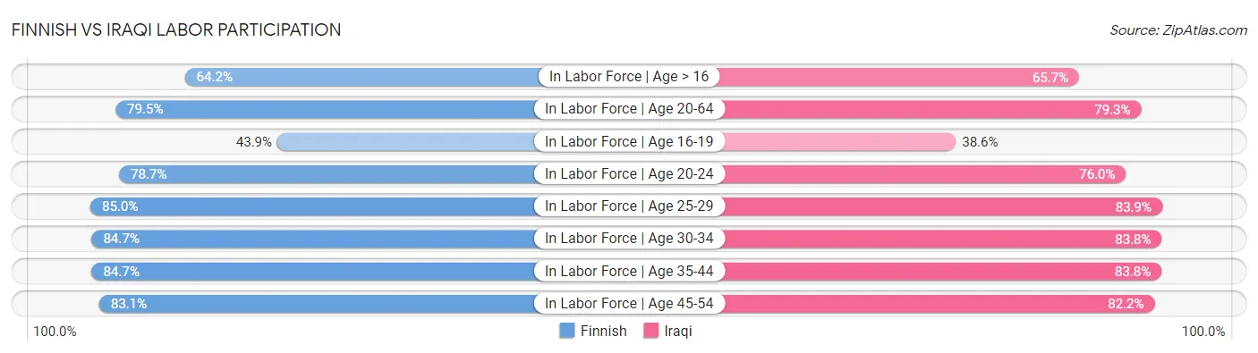 Finnish vs Iraqi Labor Participation