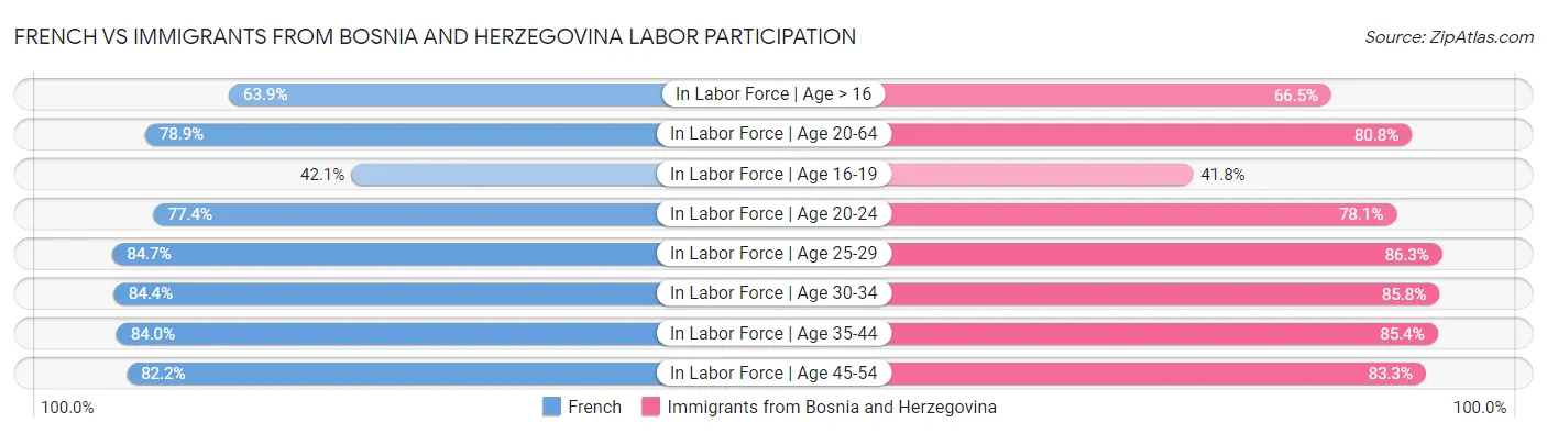 French vs Immigrants from Bosnia and Herzegovina Labor Participation