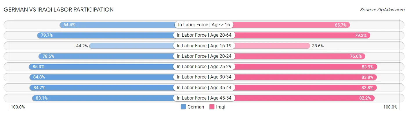 German vs Iraqi Labor Participation