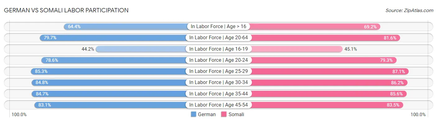 German vs Somali Labor Participation