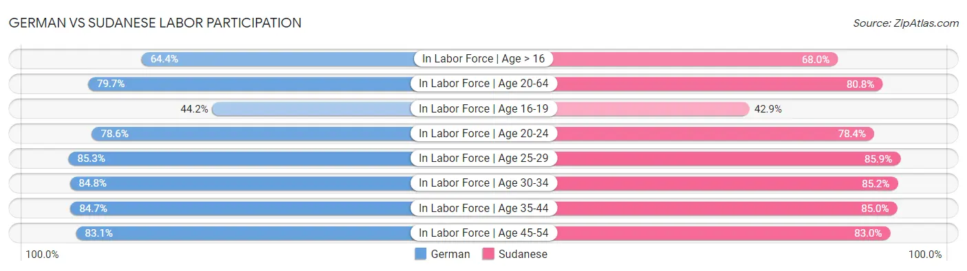 German vs Sudanese Labor Participation