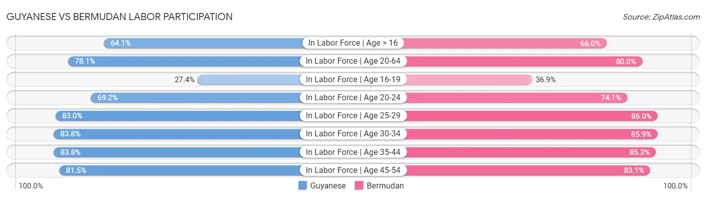 Guyanese vs Bermudan Labor Participation