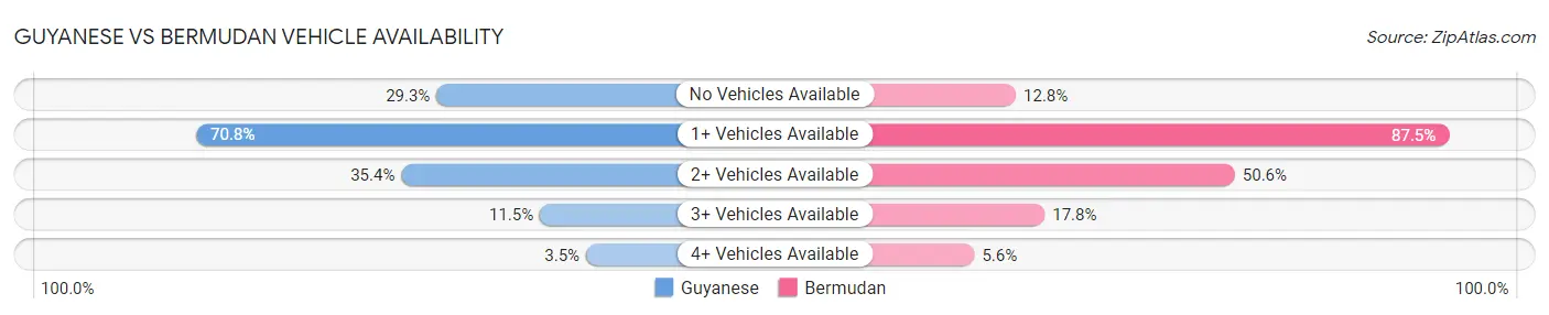 Guyanese vs Bermudan Vehicle Availability