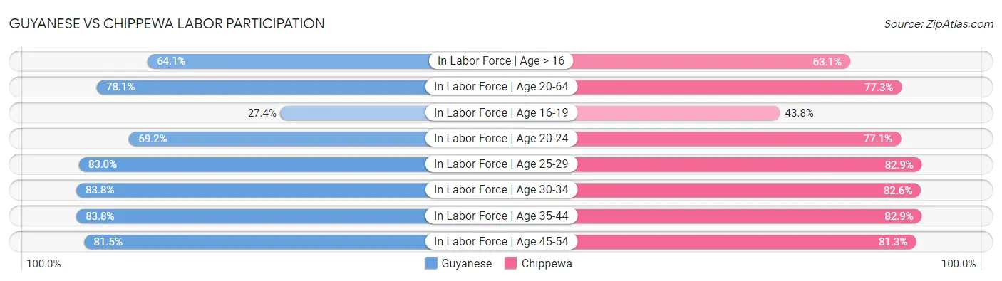 Guyanese vs Chippewa Labor Participation