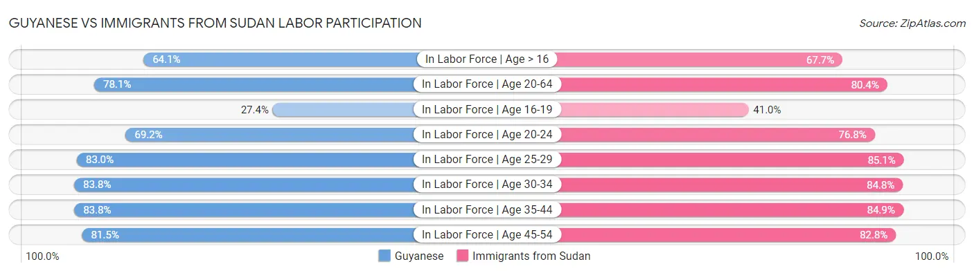 Guyanese vs Immigrants from Sudan Labor Participation