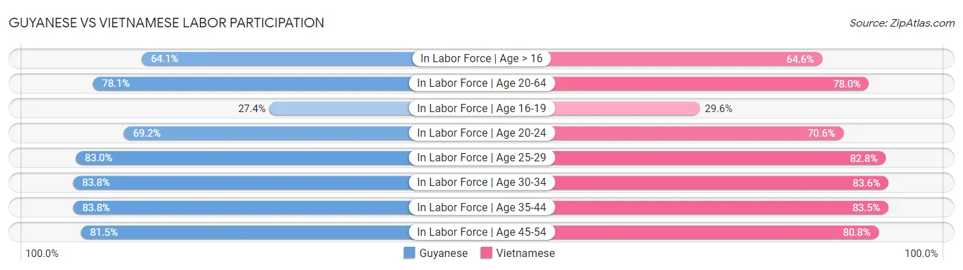 Guyanese vs Vietnamese Labor Participation