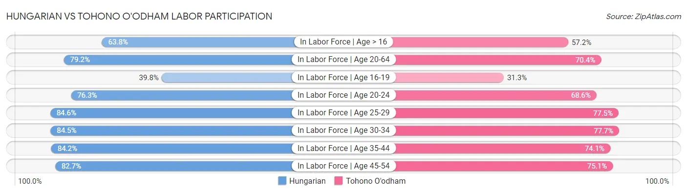 Hungarian vs Tohono O'odham Labor Participation