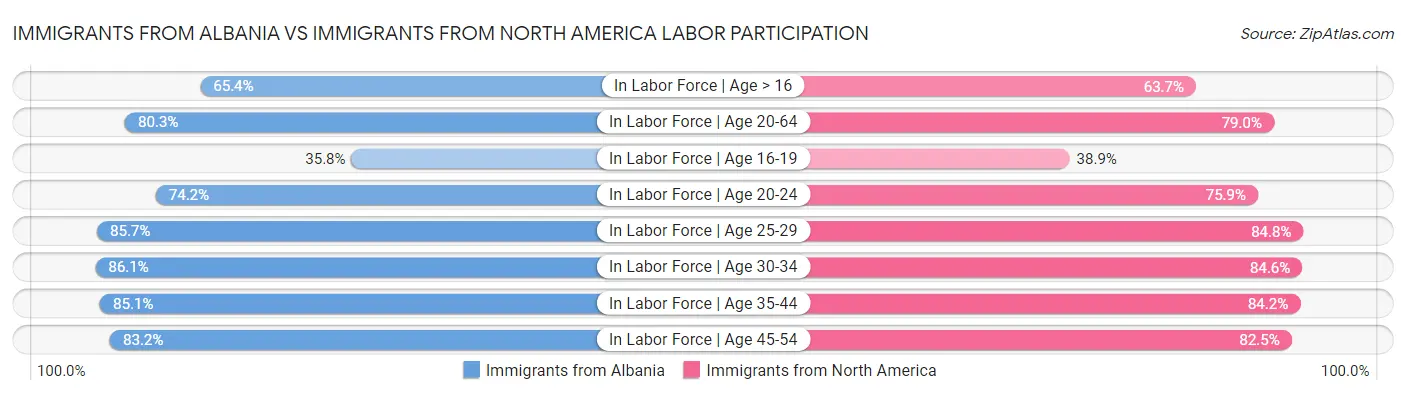 Immigrants from Albania vs Immigrants from North America Labor Participation