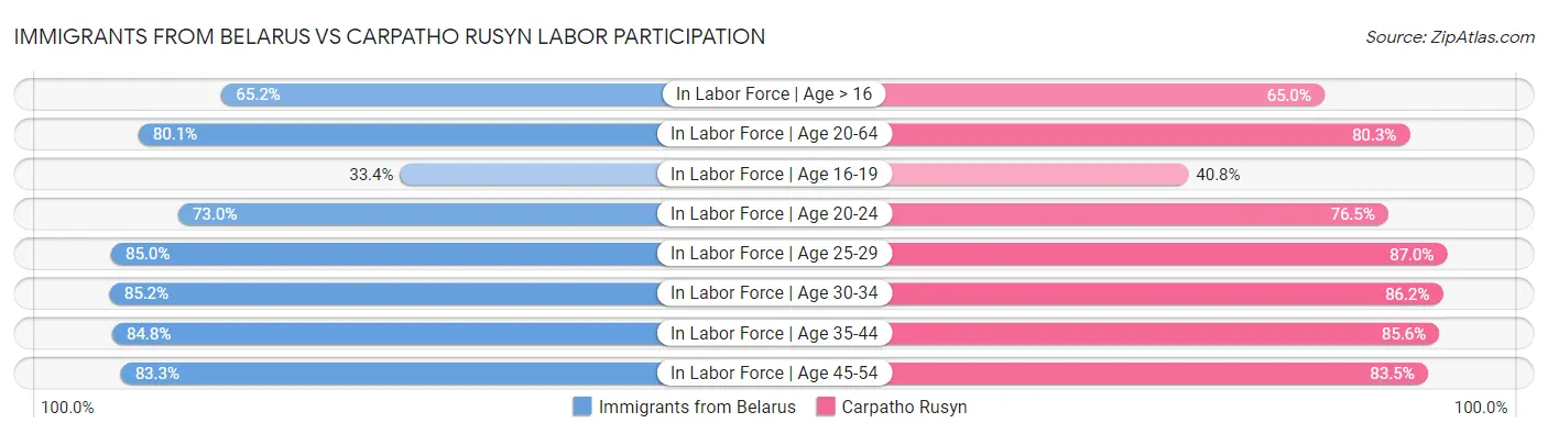 Immigrants from Belarus vs Carpatho Rusyn Labor Participation
