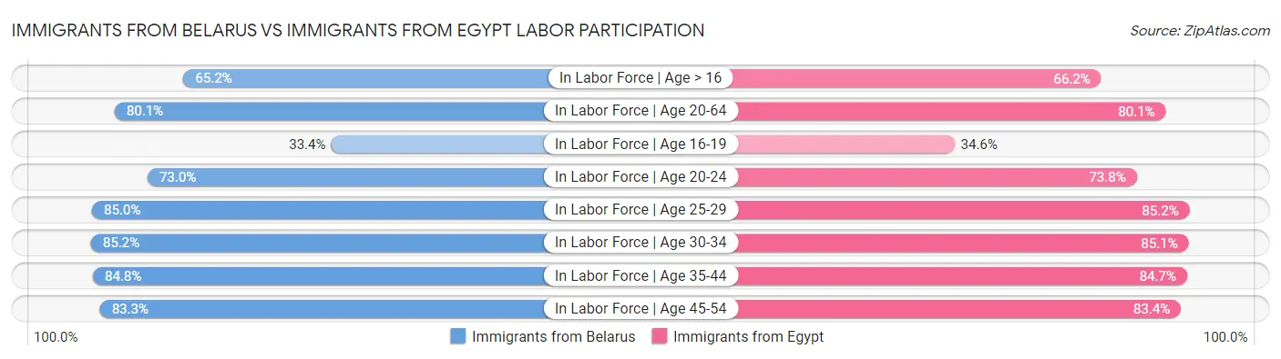 Immigrants from Belarus vs Immigrants from Egypt Labor Participation