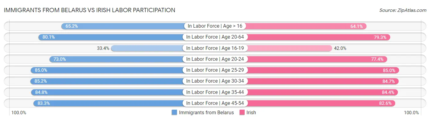 Immigrants from Belarus vs Irish Labor Participation