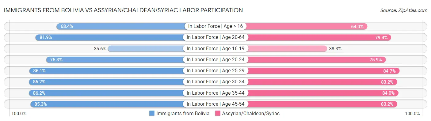 Immigrants from Bolivia vs Assyrian/Chaldean/Syriac Labor Participation