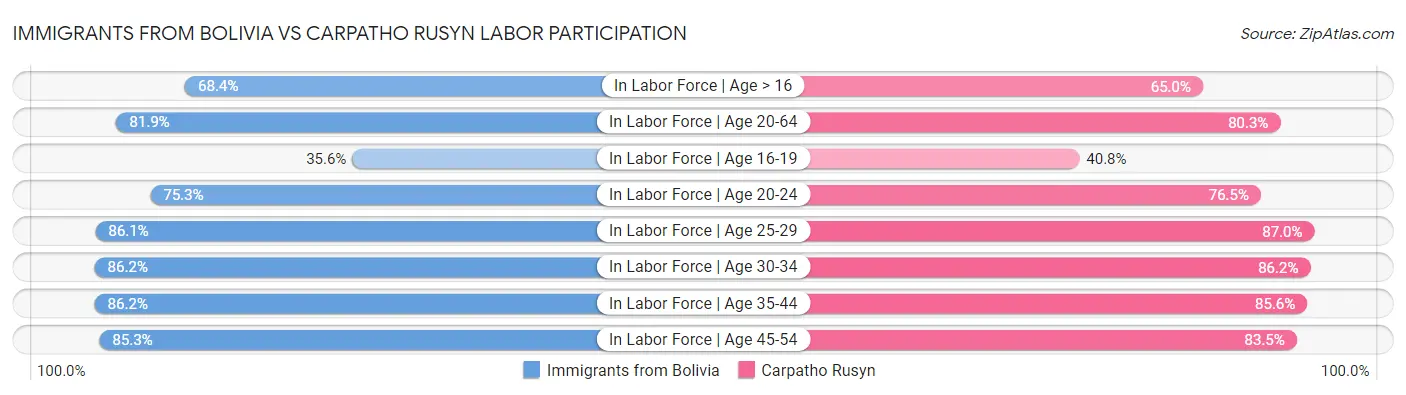 Immigrants from Bolivia vs Carpatho Rusyn Labor Participation