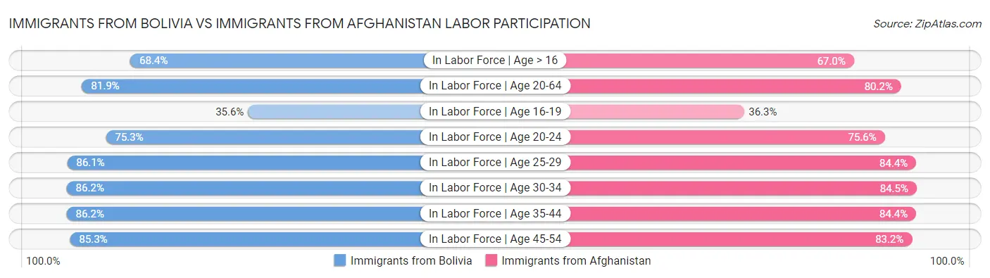 Immigrants from Bolivia vs Immigrants from Afghanistan Labor Participation