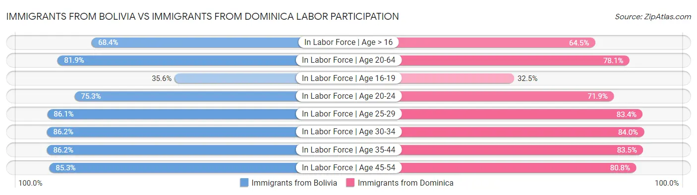 Immigrants from Bolivia vs Immigrants from Dominica Labor Participation