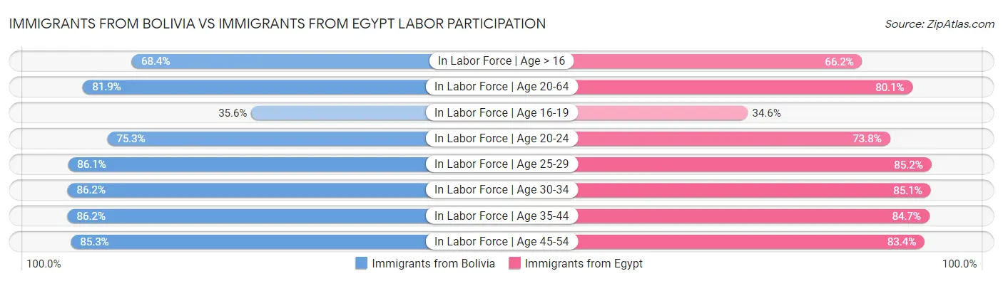 Immigrants from Bolivia vs Immigrants from Egypt Labor Participation